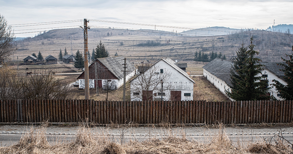 Lovardát vásárol az önkormányzat, így hajtják be a tulajdonos tartozását